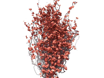 Red Vine Plant with Lush Red Leaves and Twisted Stems in Natural Growth 3d model