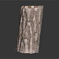Natural Rustic Bark Textured Vase With Organic Surface And Neutral Tones