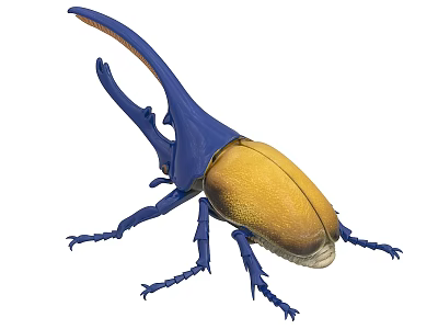 Hercules beetle beetle insect iron beetle 3d model Hercules beetle beetle insect iron beetle 3d model