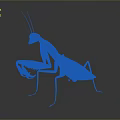 Detailed 3D Mantis Model with Realistic Body Structure on Gray Background and Reflective Surface