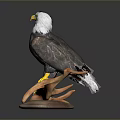 Realistic Eagle Sculpture Standing on Branch With Detailed Feathers and Yellow Claws