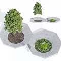 Lush Green Arbor Planted in Hexagonal Stone Planters with Soil and Small Plants