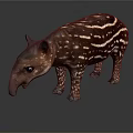 Brown Tapir With White Stripes Long Snout And Small Ears On Dark Background