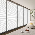 White Horizontal Blinds in Modern Living Room with Curved Sofa Green Plant and Fruit Bowl