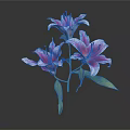 Pink and White Lilies in Vase with Green Leaves on Dark Background