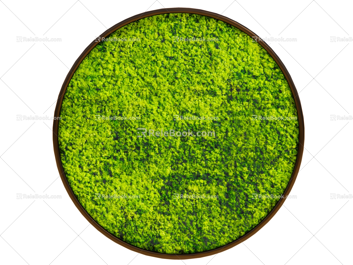 Modern plant wall moss 3d model