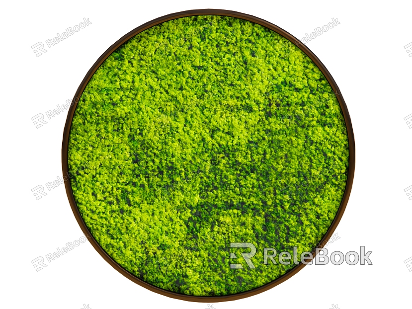 Modern plant wall moss model