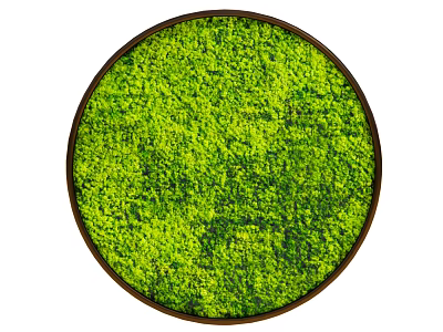 Circular Modern Moss Green Wall With Lush Greenery For Interior Decor 3d model