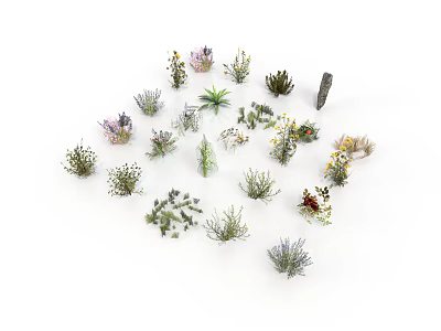 Various Small Plants of Different Types Arranged in Circle on White Background 3d model