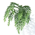 Fresh Lush Hanging Green Plant Leaves with Vibrant Natural Indoor Appeal