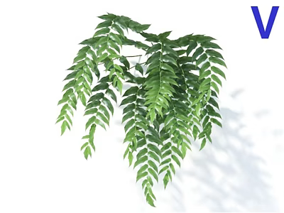 Fresh Lush Hanging Green Plant Leaves with Vibrant Natural Indoor Appeal 3d model