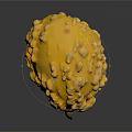 Yellow Fruit With Bumpy Surface And Round Shape On Dark Background