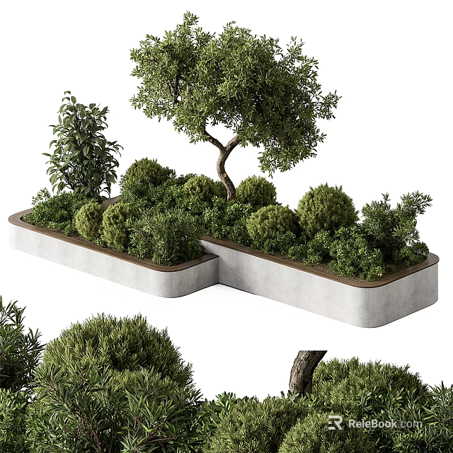 Elegant Bonsai Plants in Combined Concrete Planter with Green Shrubs and Small Trees 3d model 