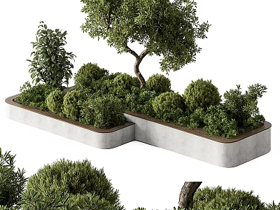 Elegant Bonsai Plants in Combined Concrete Planter with Green Shrubs and Small Trees 3d model