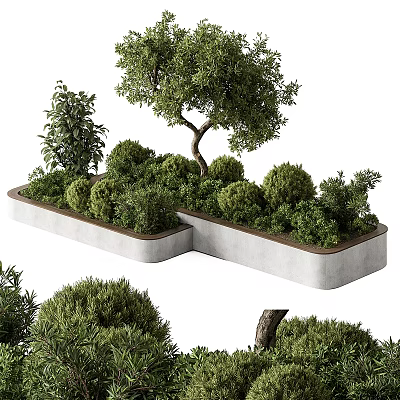 Elegant Bonsai Plants in Combined Concrete Planter with Green Shrubs and Small Trees 3d model