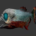 Skull Like Fish With Blue Eyes Colorful Scales And Sharp Teeth