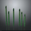 Green Bamboo Plants With Tubular Stems In Various Heights Against Dark Background With Reflections