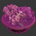 Vibrant Yellow and Purple Flowers in Red Pot with Lush Green Leaves