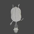 Anatomical Turtle Skeleton Display With Detailed Carapace On Green Geometric Background