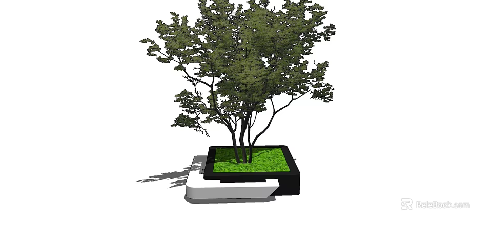 Square Tree Pit With Green Grass And Multi Trunk Tree In Landscaping Design 3d model