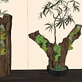 Decorative Bonsai Potted Plants in Tree Trunk Containers with Green Foliage and Moss