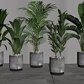 Modern Potted Green Plants in Concrete Planters with Gold Base for Interior Decor