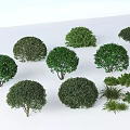 Various Green Shrubs With Different Sizes And Round Shapes Displayed Together 3d model