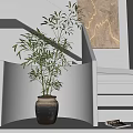 Bamboo Bonsai Plant in Clay Pot Decorating White Room with Grid Window and Greenery Outside