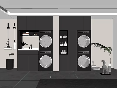 Bathroom Cabinet Rack With Washing Machines Dryers Sink And Storage Shelves 3d model