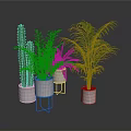 Indoor Green Plants Various Types in White Pots with Stands and Lush Foliage