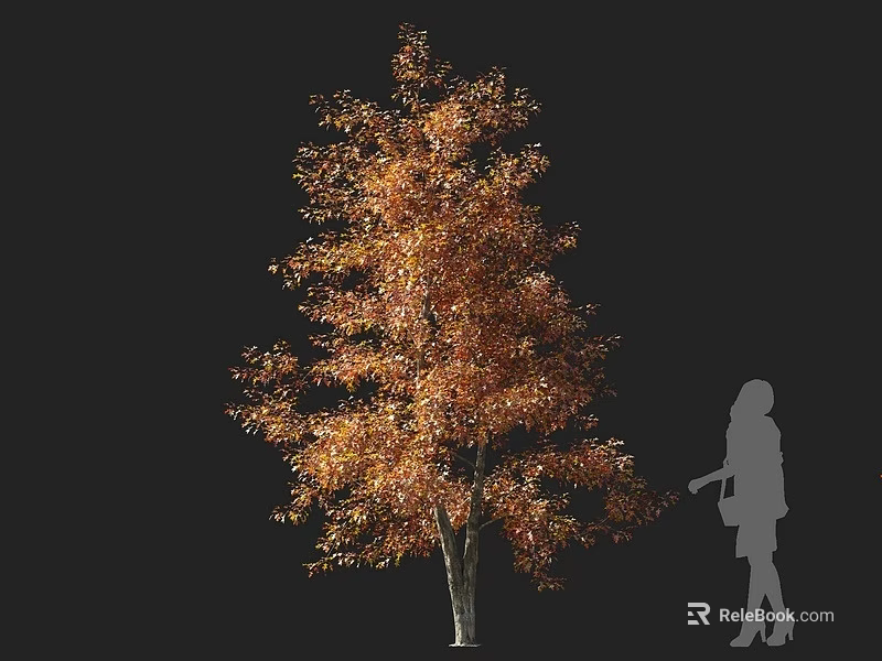 Arbor With Orange Red Autumn Leaves And Human Silhouette On Black Background 3d model 
