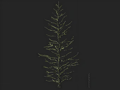 Arbor Showcasing Line Drawing Style With Detailed Branch Structure On Black Background 3d model