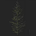 Arbor Showcasing Line Drawing Style With Detailed Branch Structure On Black Background