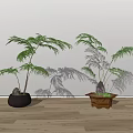 Two Bonsai Plants with Feathery Leaves in Gray Round and Brown Square Pots