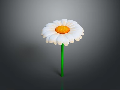 White Daisy Flower With Yellow Center And Green Stem On Gray Background 3d model