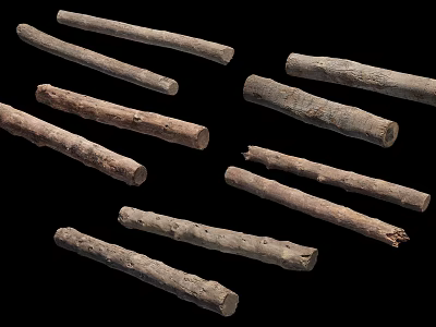 Rough Natural Stone Wood Sticks Showing Unprocessed Texture And Natural Shape 3d model
