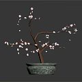 Potted Plant With Pink Flowers And Brown Branches In Green Container With Sand