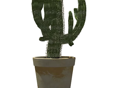 Bonsai Cactus Plant In Terracotta Pot With Green Foliage For Indoor Decor 3d model