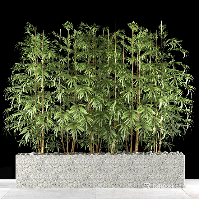 Lush Bamboo With Green Leaves And Brown Stalks In Gray Stone Base With Small Pebbles 3d model 