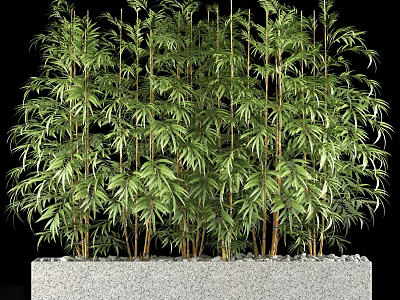 Lush Bamboo With Green Leaves And Brown Stalks In Gray Stone Base With Small Pebbles 3d model
