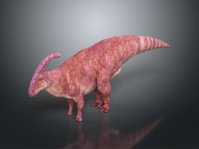 Pink Striped Parasaurolophus Dinosaur 3D Model With Textured Skin Standing On Dark Background 3d model
