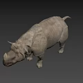 Rhinoceros Game Movie Character Realistic 3D Model With Detailed Skin And Horn