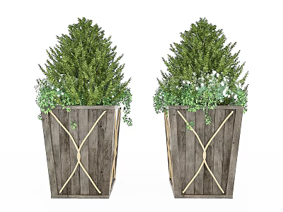 Lush Green Bonsai Potted Plants In Wooden Planters With Golden Crisscross Accents 3d model