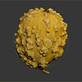 Yellow Fruit With Bumpy Surface And Round Shape On Dark Background
