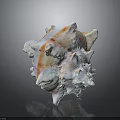 Spiky Conch Shell With Pink Orange Hues On Dark Reflective Background