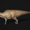 Realistic 3D Dinosaur Model With Blue Crest Head And Brown Textured Body