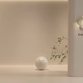 Light Colored Background Wall Featuring White Sphere Green Plant And Wall Lamp