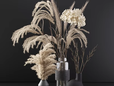Elegant Vases with White Hydrangea Pampas Grass and Dried Branches on Dark Background 3d model
