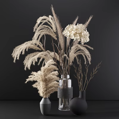 Elegant Vases with White Hydrangea Pampas Grass and Dried Branches on Dark Background 3d model