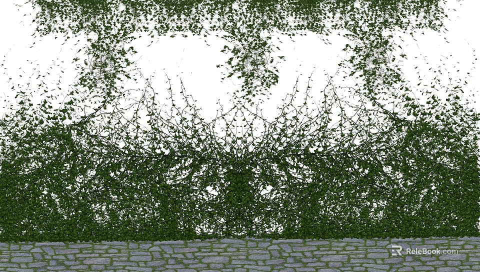 Dense Green Vines with Lush Foliage Covering Stone Paved Ground 3d model 